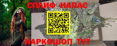 индика Ливны