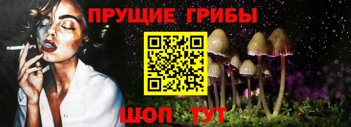Гулькевичи  Псилоцибиновые грибы ЛСД  Галлюциногенные грибы Magic Shrooms  Вход с VPN 